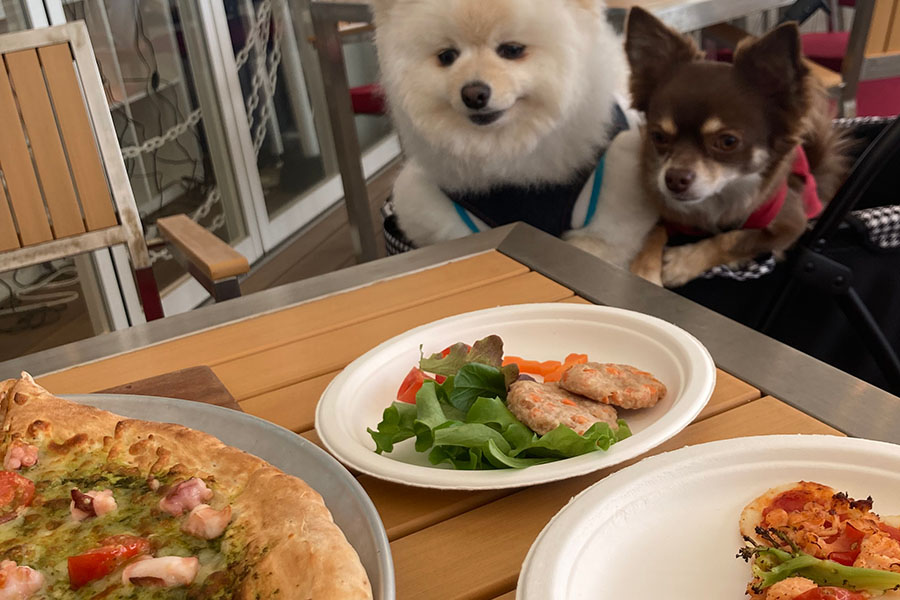 淡路島クラフトサーカス